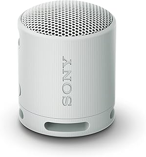Sony SRS-XB100 — foto oficial do produto